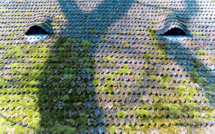 Démoussage de toiture en Auvergne